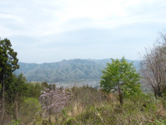 画像37